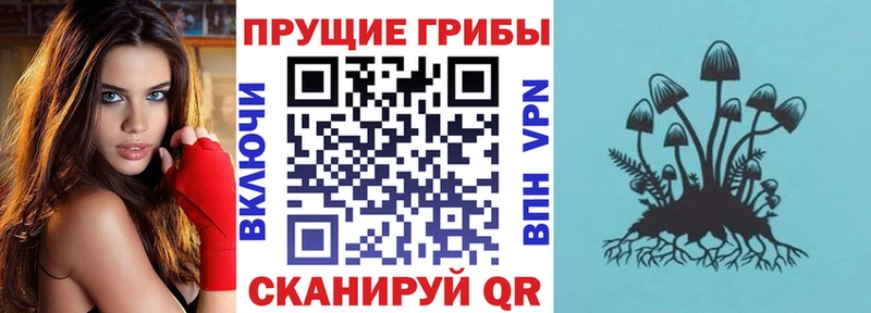 Псилоцибиновые грибы GOLDEN TEACHER  дарк нет Telegram  Унеча 