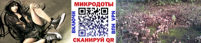 Псилоцибиновые грибы мицелий Унеча